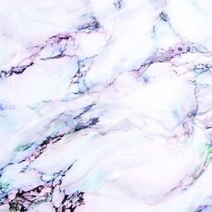 Meet your Posher, Terri